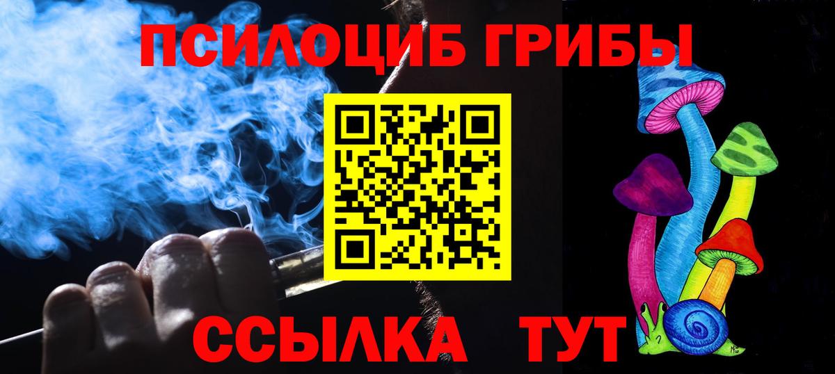 Псилоцибиновые грибы GOLDEN TEACHER  Псилоцибиновые грибы прущие грибы  Аргун  Вход с VPN 